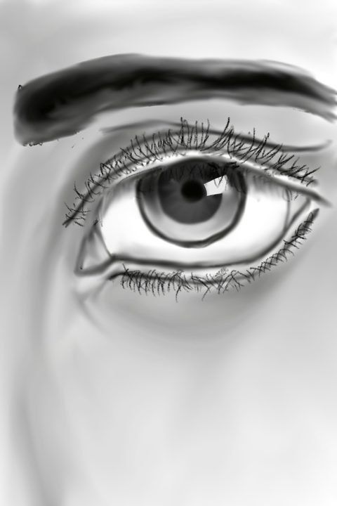 Pencil drawing of an eye and eyebrow with soft shading